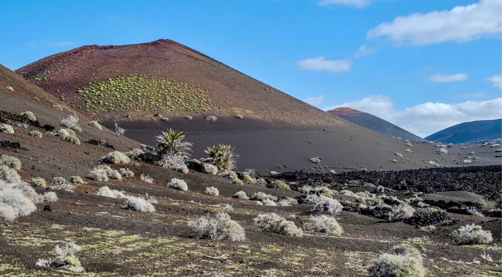 Deep red volcanic cone with a patch of green lichen on its flank, above a black ash plain