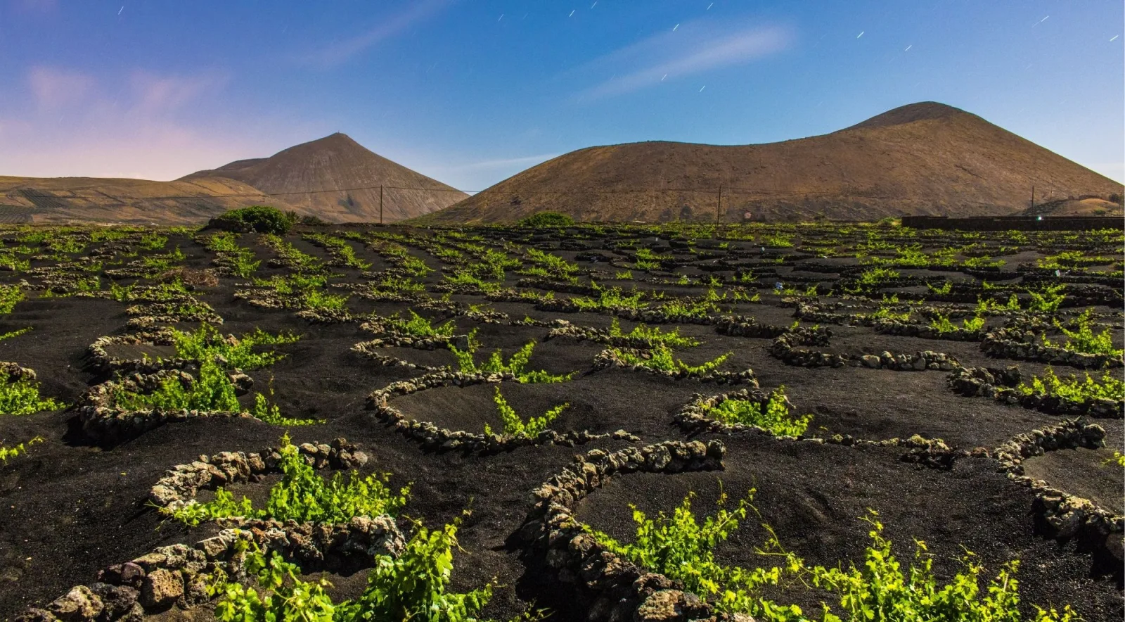 A cone's lichen-covered ridge in the foreground with the Atlantic and a distant volcano beyond