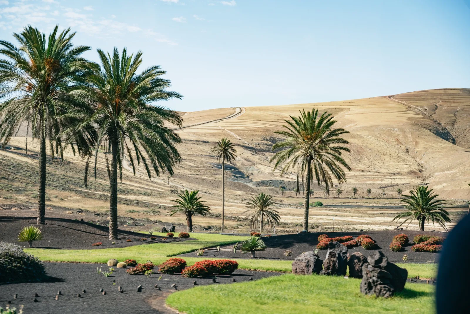Palms and lawns of a garden set against the dry volcanic hills behind