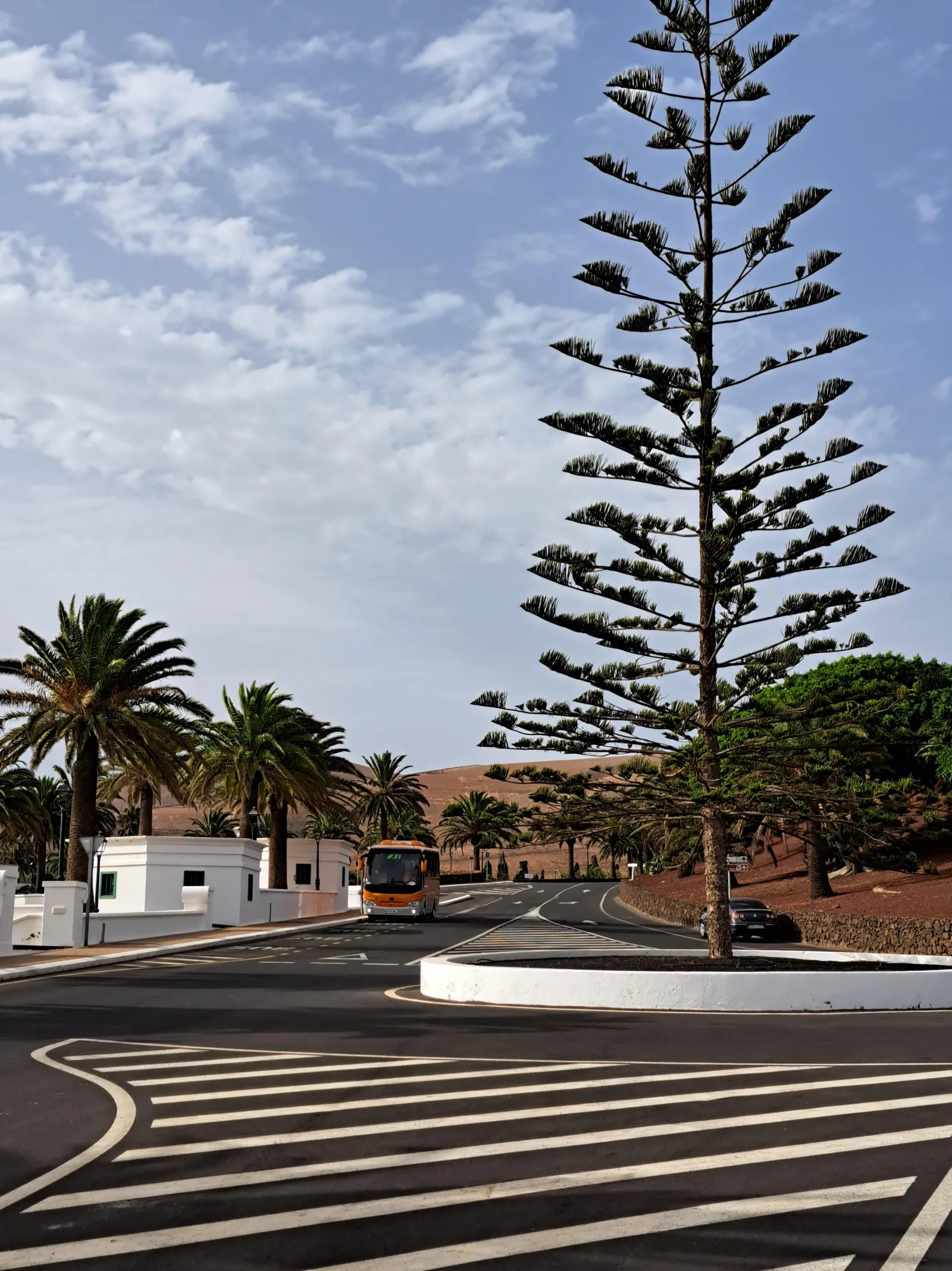 The village street at Yaiza, with palms, a pine and a waiting coach