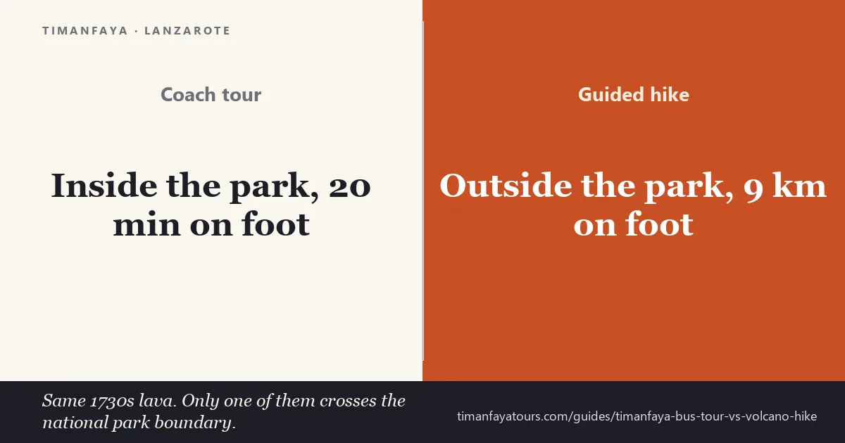 Coach tour inside Timanfaya National Park versus a guided hike in the Natural Park next door